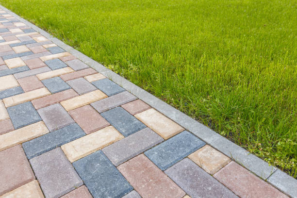 Best Driveway Paving Contractor  in Kenosha, WI
